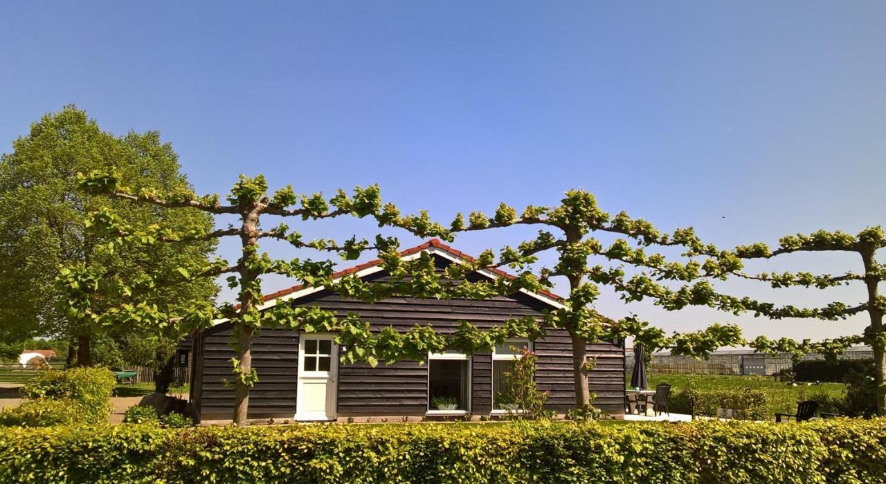Boeren Burgers Buitenlui Bed & Breakfast Molenschot